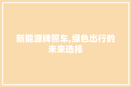 新能源牌照车,绿色出行的未来选择