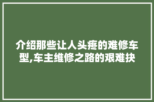 介绍那些让人头疼的难修车型,车主维修之路的艰难抉择
