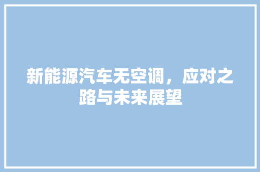新能源汽车无空调，应对之路与未来展望