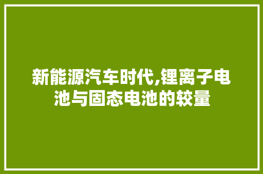 新能源汽车时代,锂离子电池与固态电池的较量