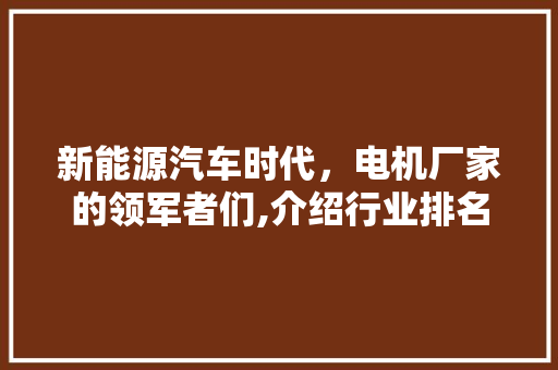 新能源汽车时代，电机厂家的领军者们,介绍行业排名背后的实力与挑战