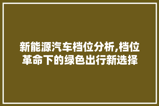 新能源汽车档位分析,档位革命下的绿色出行新选择
