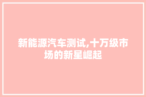 新能源汽车测试,十万级市场的新星崛起