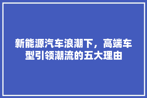新能源汽车浪潮下，高端车型引领潮流的五大理由