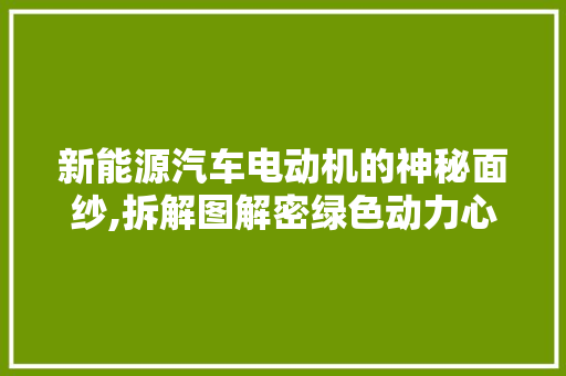 新能源汽车电动机的神秘面纱,拆解图解密绿色动力心脏