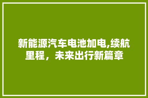 新能源汽车电池加电,续航里程，未来出行新篇章