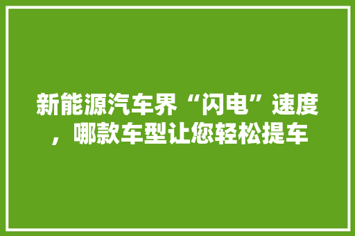 新能源汽车界“闪电”速度，哪款车型让您轻松提车