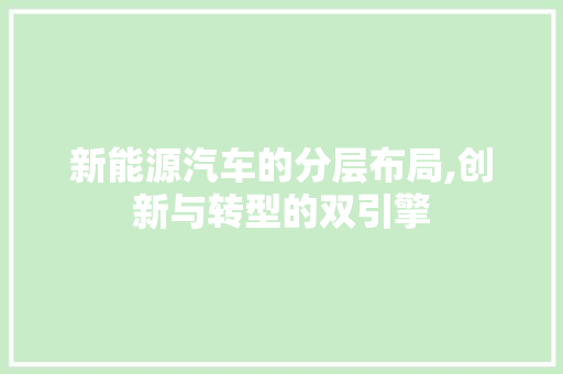 新能源汽车的分层布局,创新与转型的双引擎