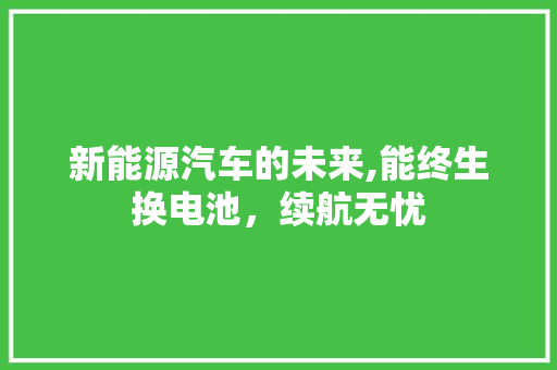 新能源汽车的未来,能终生换电池，续航无忧