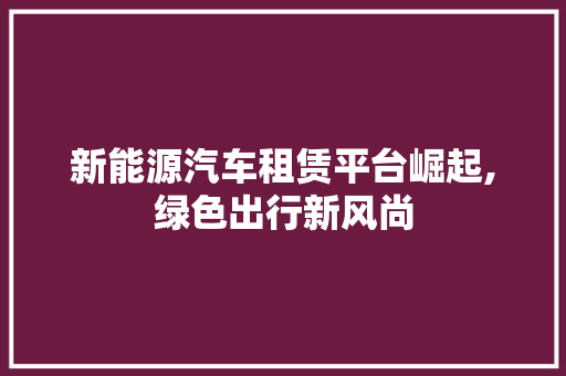 新能源汽车租赁平台崛起,绿色出行新风尚