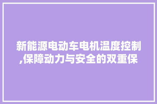 新能源电动车电机温度控制,保障动力与安全的双重保障