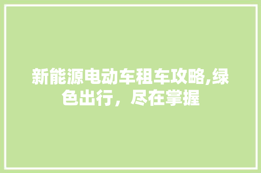 新能源电动车租车攻略,绿色出行，尽在掌握