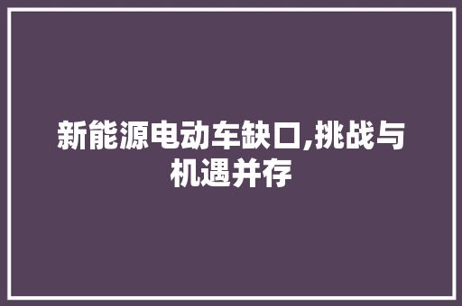 新能源电动车缺口,挑战与机遇并存