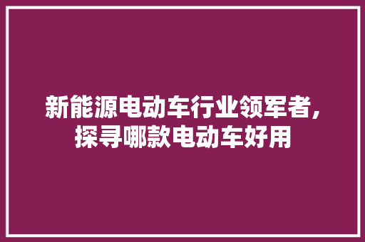新能源电动车行业领军者,探寻哪款电动车好用 汽车配件