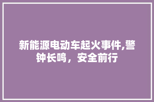 新能源电动车起火事件,警钟长鸣，安全前行