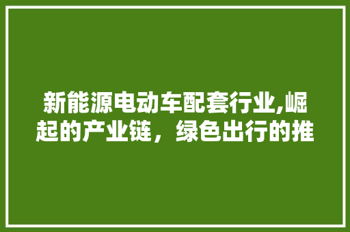 新能源电动车配套行业,崛起的产业链，绿色出行的推动者