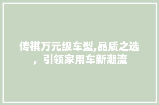 传祺万元级车型,品质之选，引领家用车新潮流