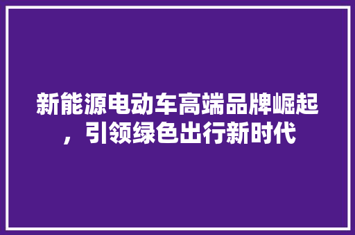 新能源电动车高端品牌崛起，引领绿色出行新时代
