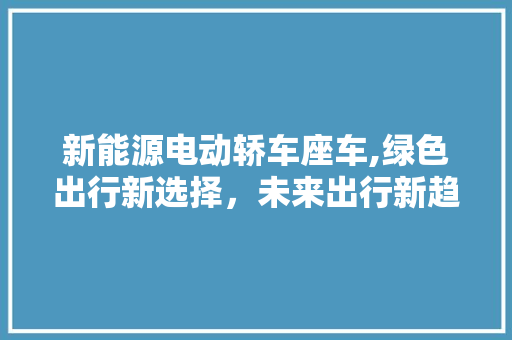 新能源电动轿车座车,绿色出行新选择，未来出行新趋势