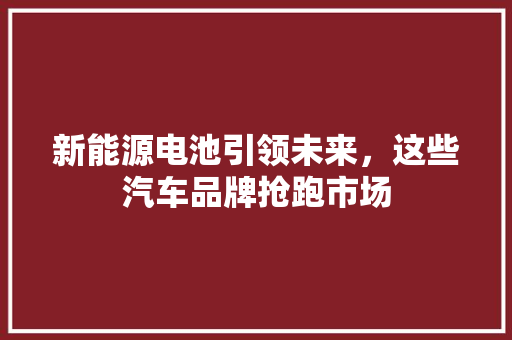新能源电池引领未来，这些汽车品牌抢跑市场