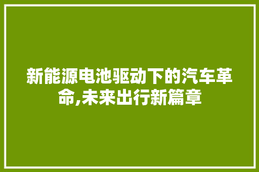 新能源电池驱动下的汽车革命,未来出行新篇章