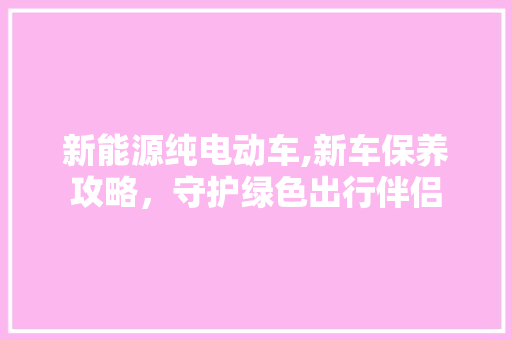 新能源纯电动车,新车保养攻略，守护绿色出行伴侣