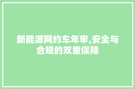 新能源网约车年审,安全与合规的双重保障 汽车配件