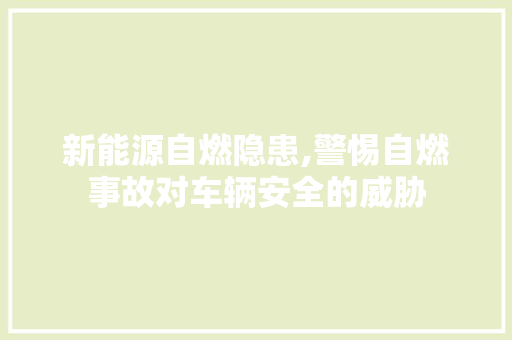 新能源自燃隐患,警惕自燃事故对车辆安全的威胁