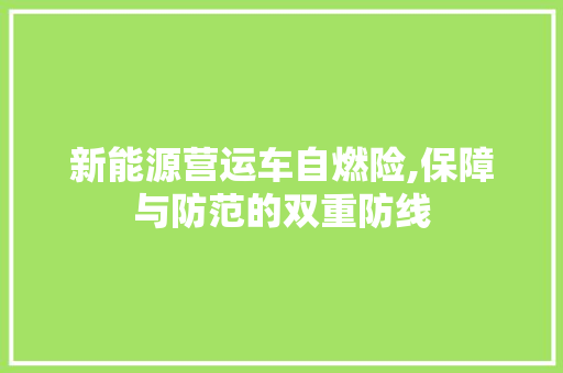 新能源营运车自燃险,保障与防范的双重防线