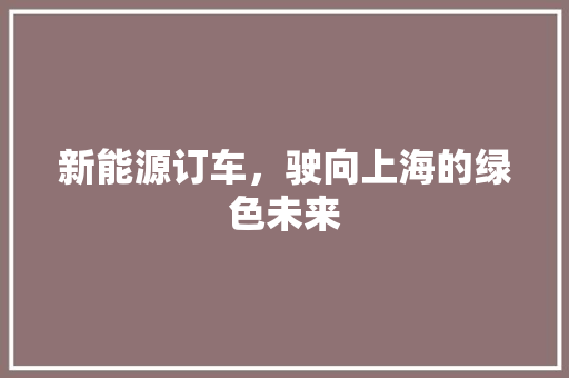 新能源订车，驶向上海的绿色未来