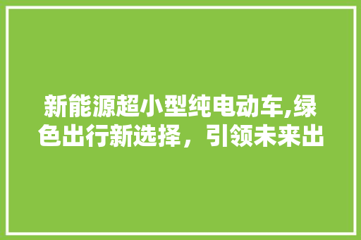 新能源超小型纯电动车,绿色出行新选择，引领未来出行潮流