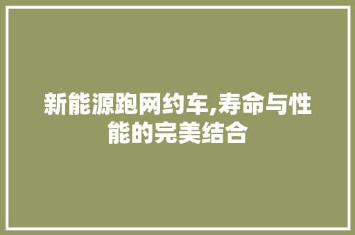 新能源跑网约车,寿命与性能的完美结合