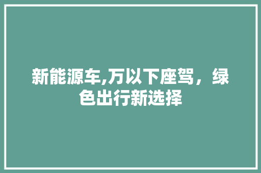 新能源车,万以下座驾，绿色出行新选择