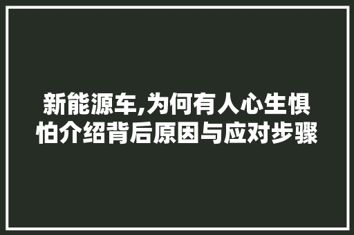 新能源车,为何有人心生惧怕介绍背后原因与应对步骤