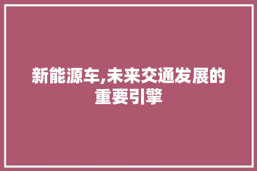新能源车,未来交通发展的重要引擎