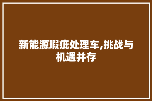 新能源瑕疵处理车,挑战与机遇并存