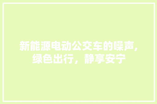 新能源电动公交车的噪声,绿色出行，静享安宁