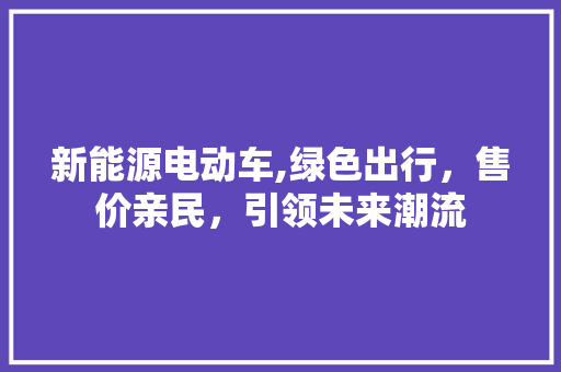 新能源电动车,绿色出行，售价亲民，引领未来潮流