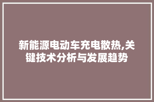 新能源电动车充电散热,关键技术分析与发展趋势 自动驾驶