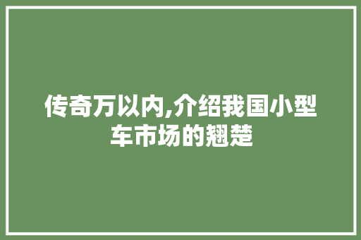 传奇万以内,介绍我国小型车市场的翘楚