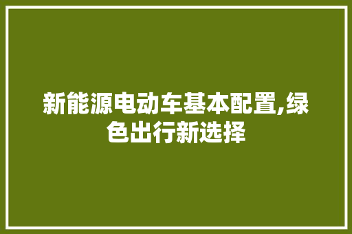 新能源电动车基本配置,绿色出行新选择