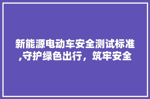 新能源电动车安全测试标准,守护绿色出行，筑牢安全防线