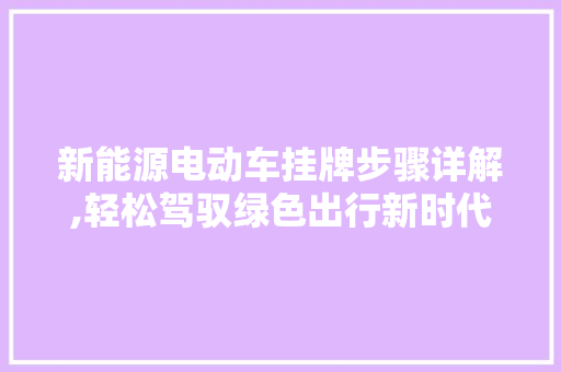 新能源电动车挂牌步骤详解,轻松驾驭绿色出行新时代