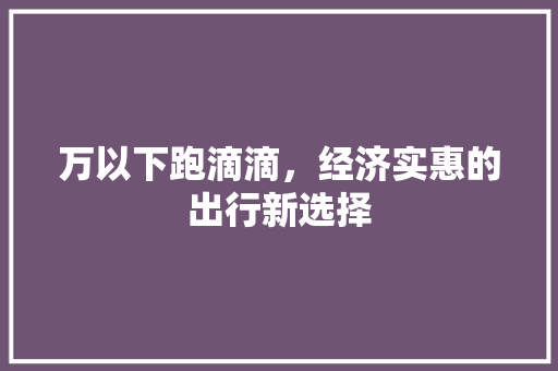 万以下跑滴滴，经济实惠的出行新选择