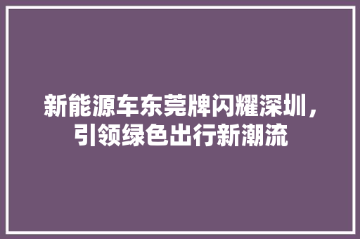 新能源车东莞牌闪耀深圳，引领绿色出行新潮流