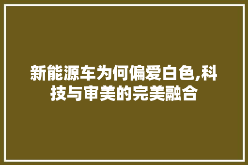 新能源车为何偏爱白色,科技与审美的完美融合