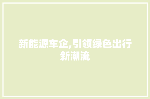 新能源车企,引领绿色出行新潮流
