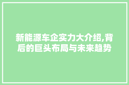 新能源车企实力大介绍,背后的巨头布局与未来趋势