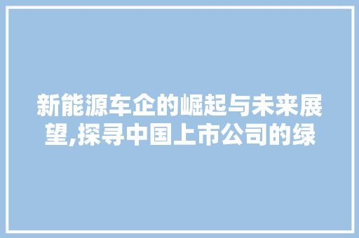 新能源车企的崛起与未来展望,探寻中国上市公司的绿色发展之路
