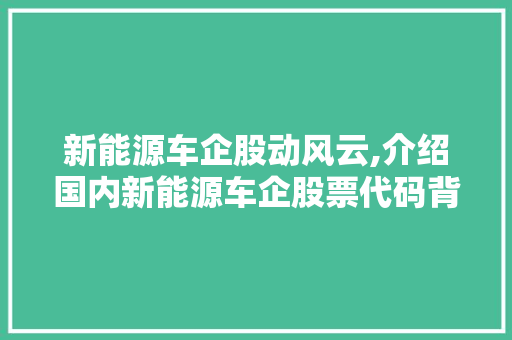 新能源车企股动风云,介绍国内新能源车企股票代码背后的商业传奇 车联网技术